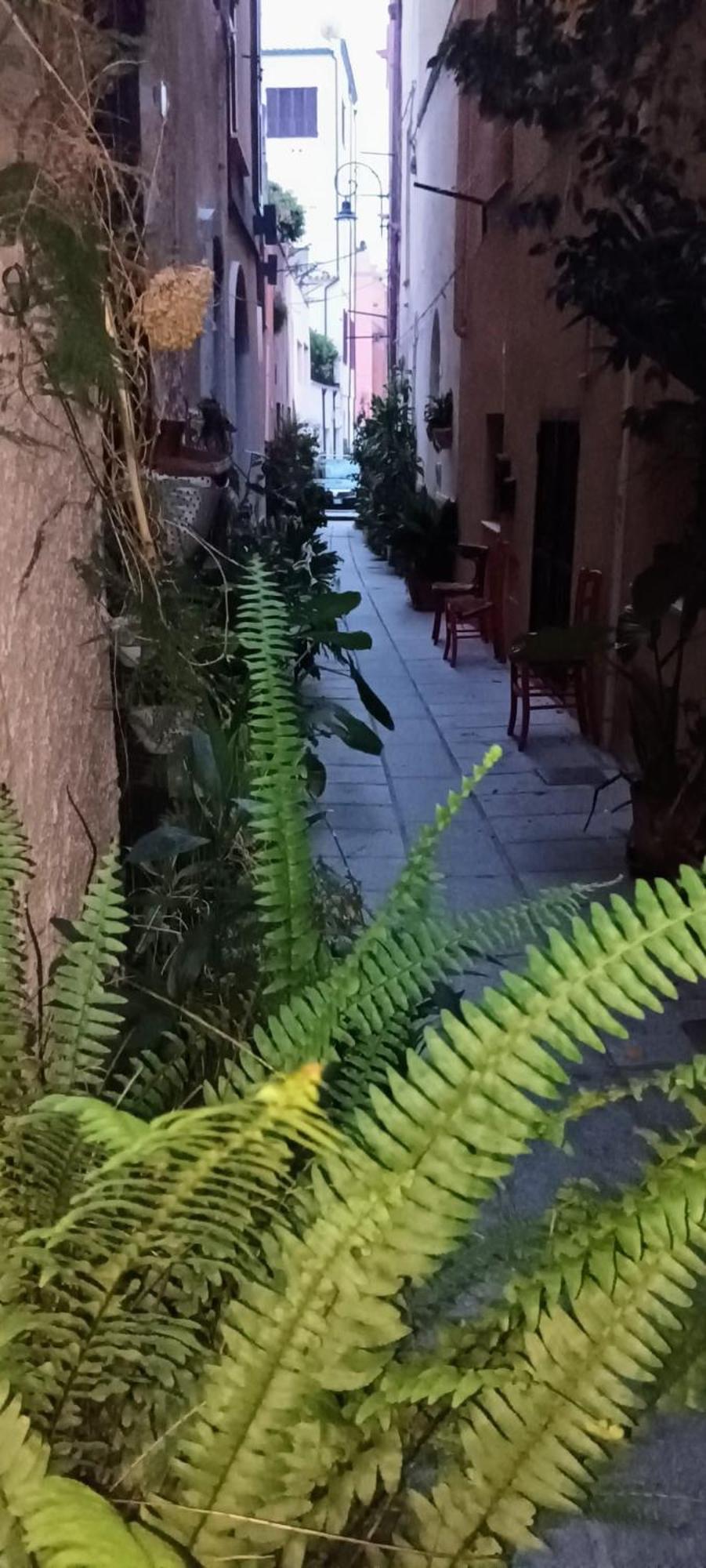 Casa Vacanze Nel Cuore Di Κάλιαρι Εξωτερικό φωτογραφία